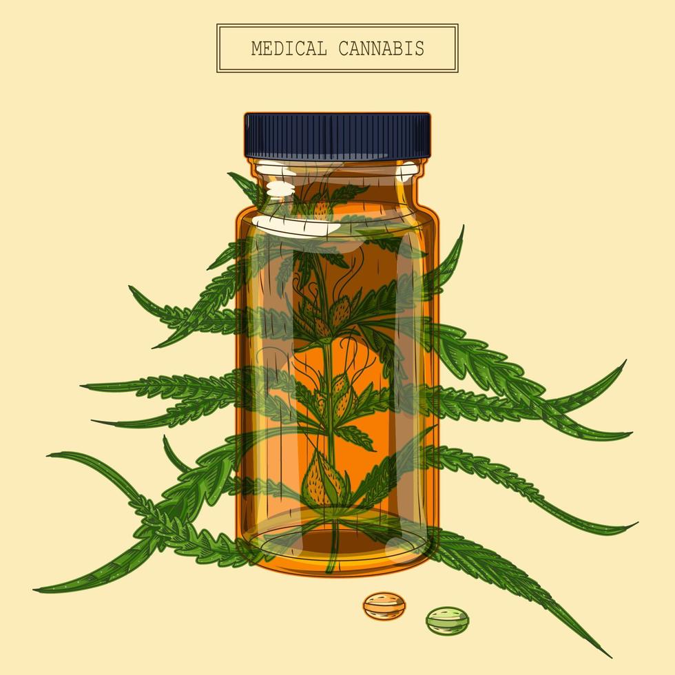Medical cannabis marijuana branch and vial and pills, hand drawn illustration in a retro style vector