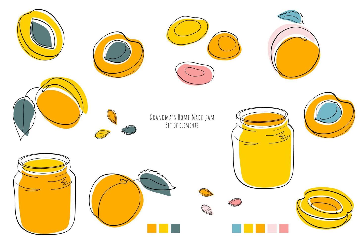 Grandmas apricot home made jam, set of elements vector