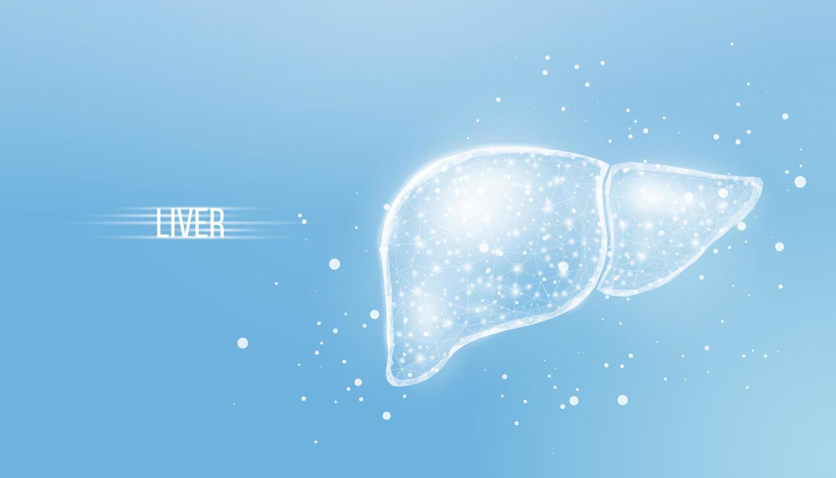 Human liver. Wireframe low poly style. Concept for medical, treatment of the hepatitis. Abstract modern 3d vector illustration on blue background.