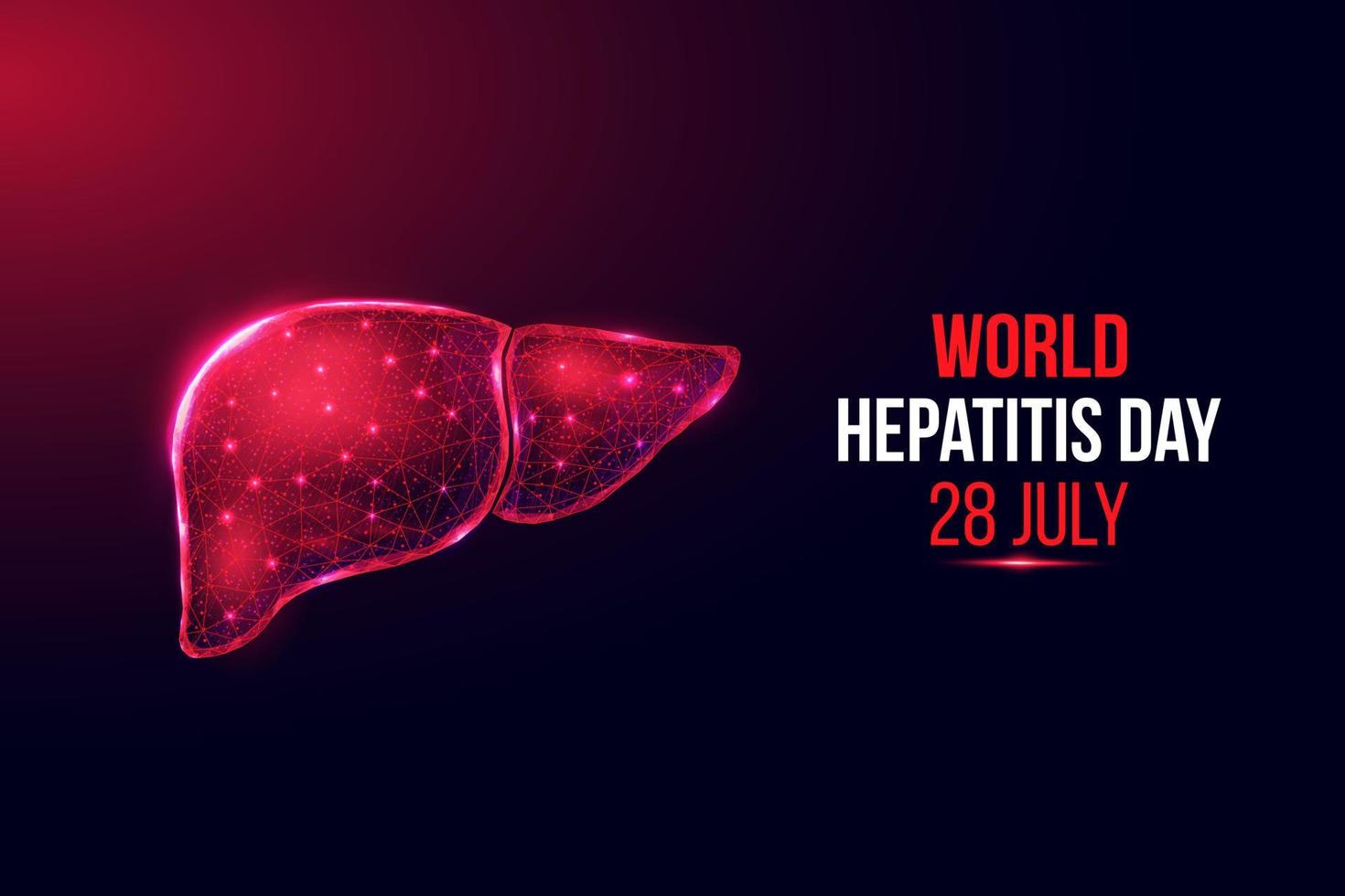 Liver wireframe. World hepatitis day concept. Banner template with glowing low poly liver. Vector illustration.