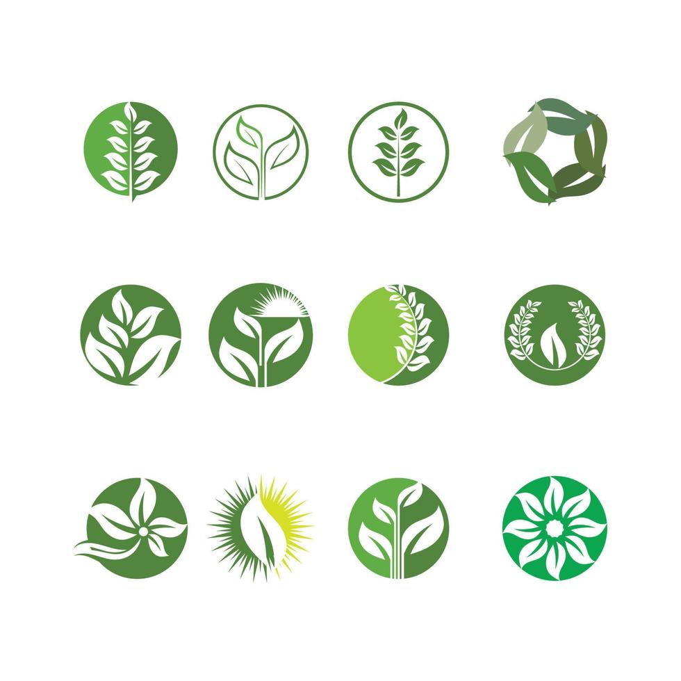 Logos of green Tree leaf ecology nature element vector