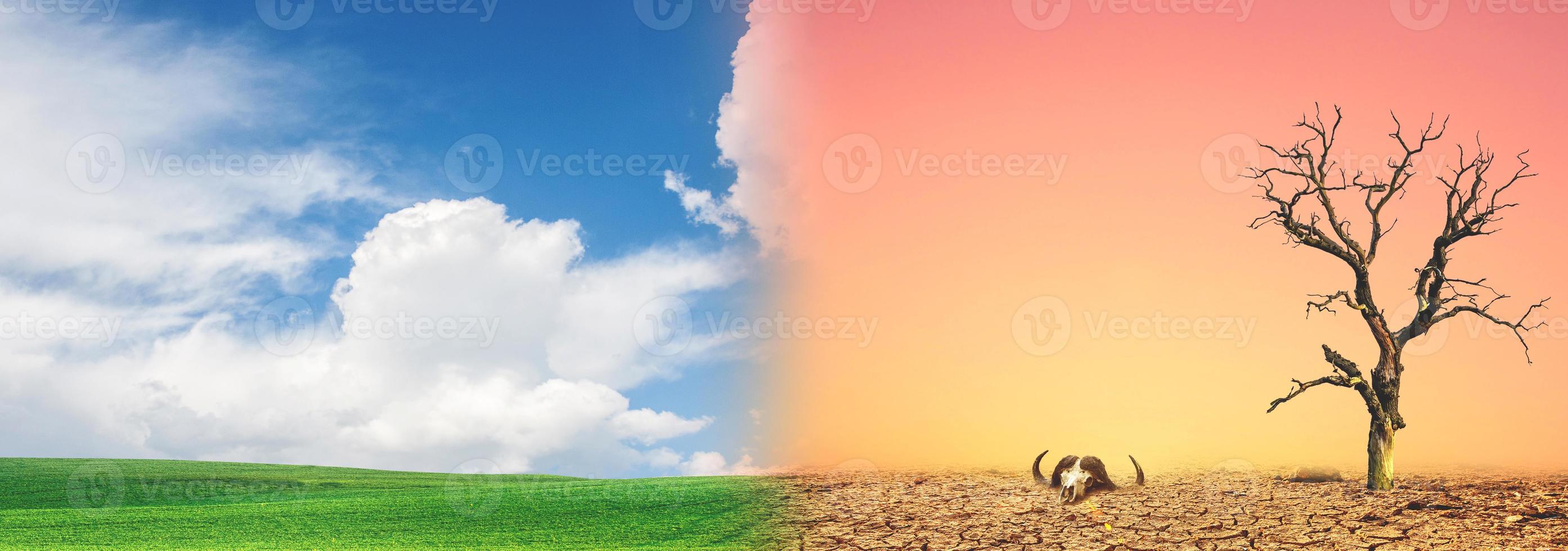concept of environmental conservation and global climate change. Picture comparing arid areas with green areas. photo