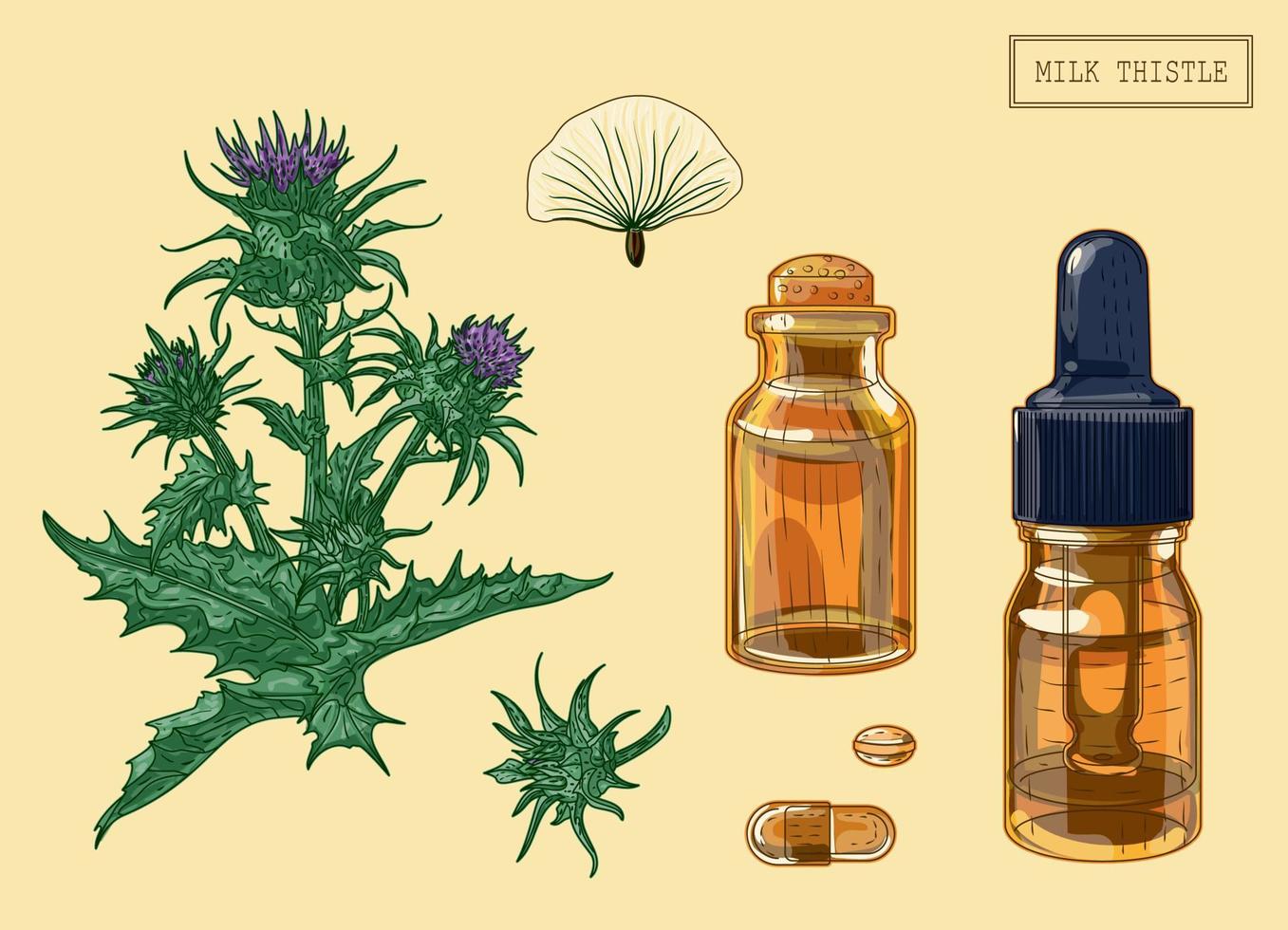 Medical Milk Thistle branch and vials, hand drawn illustration in a retro style vector