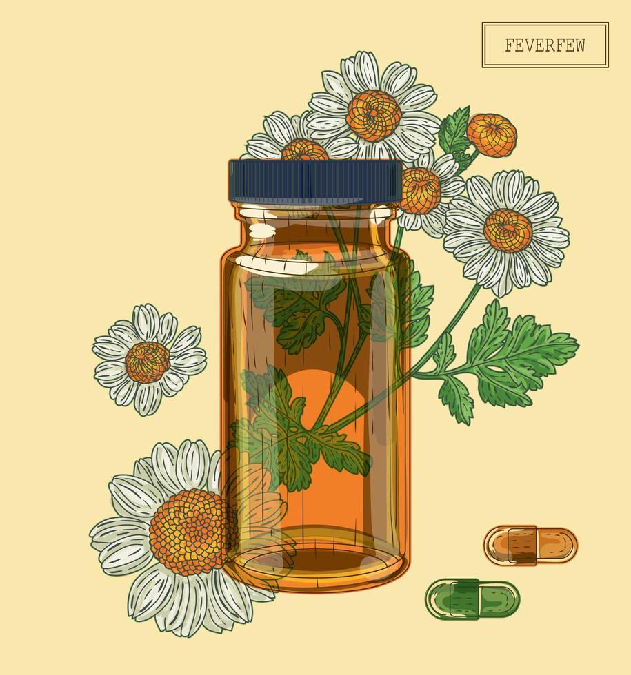 Feverfew flowers and brown glass vial and pills, hand drawn illustration in a retro style vector