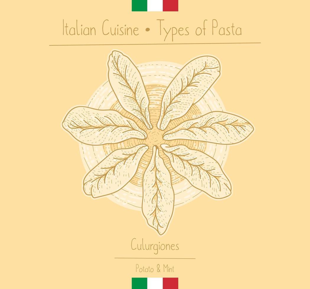 Italian Food ball-shape pasta with veggie filling aka Culurgiones, sketching illustration in the vintage style vector