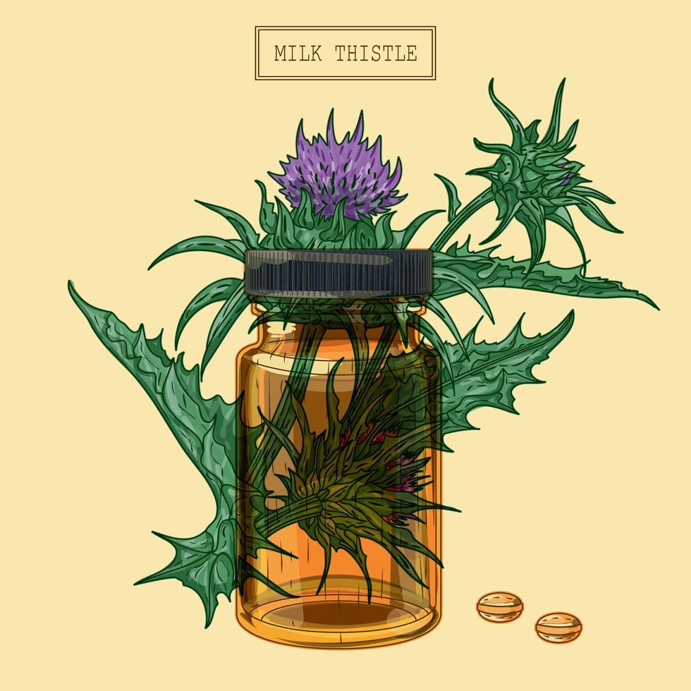 planta de cardo de leche médica y píldoras y vial de vidrio, ilustración dibujada a mano en un estilo retro vector