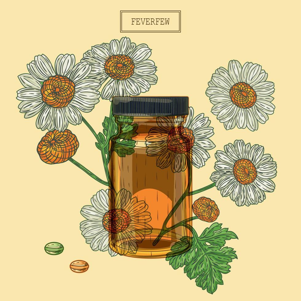 flores de matricaria médica y vial y pastillas, ilustración dibujada a mano en un estilo retro vector