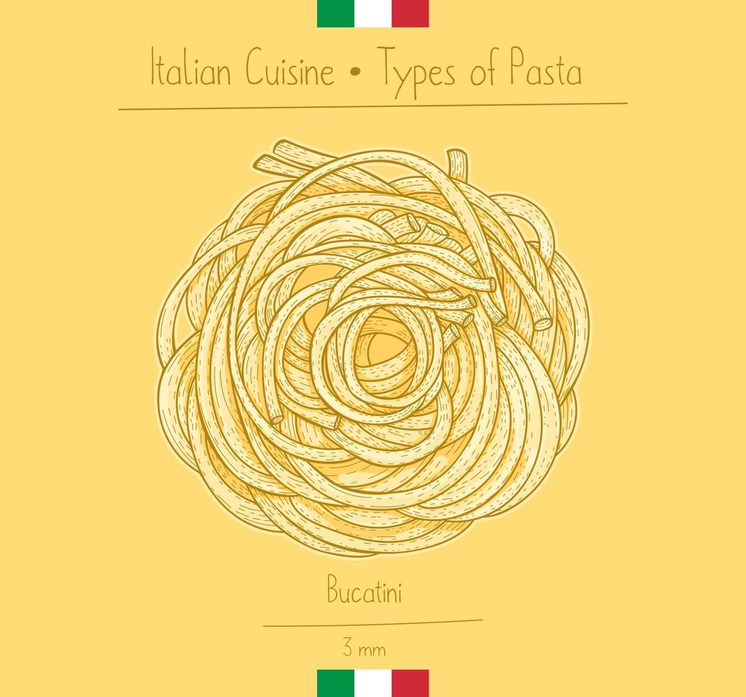 comida italiana bucatini, también conocida como pasta tipo sphagetti perciatelli, dibujando ilustraciones en el estilo antiguo vector