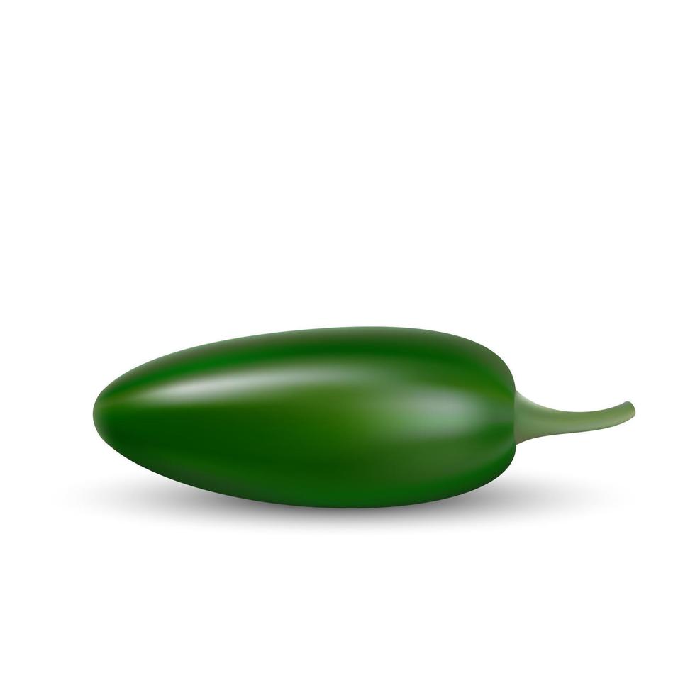 natural hoti pepper vector