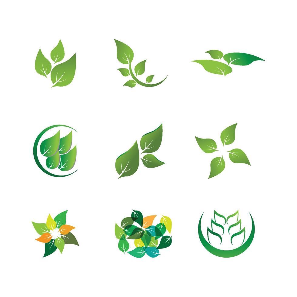 Logos of green Tree leaf ecology nature element vector