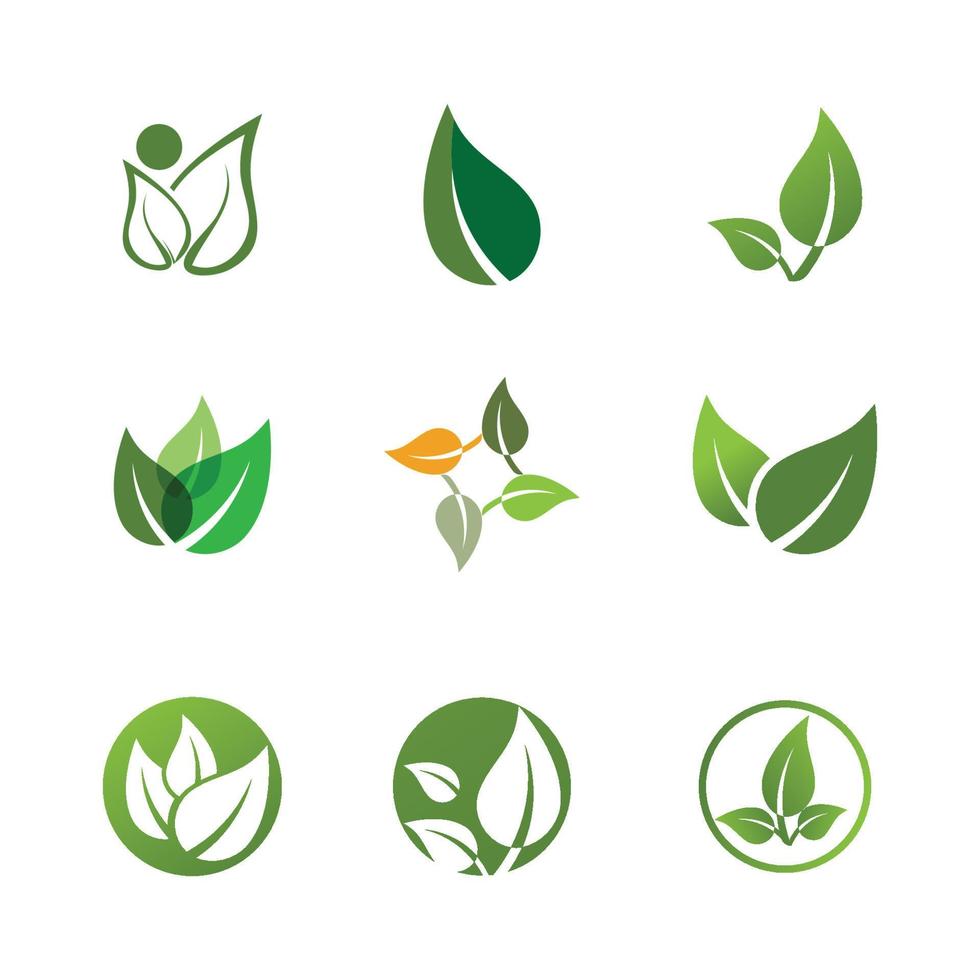 logotipos de vector de elemento de naturaleza de ecología de hoja de árbol verde