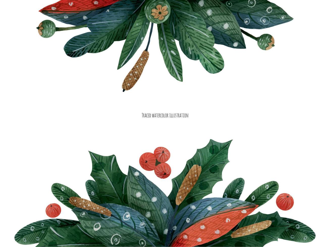 Christmas floral decoration with winter plants for headline, traced watercolor vector