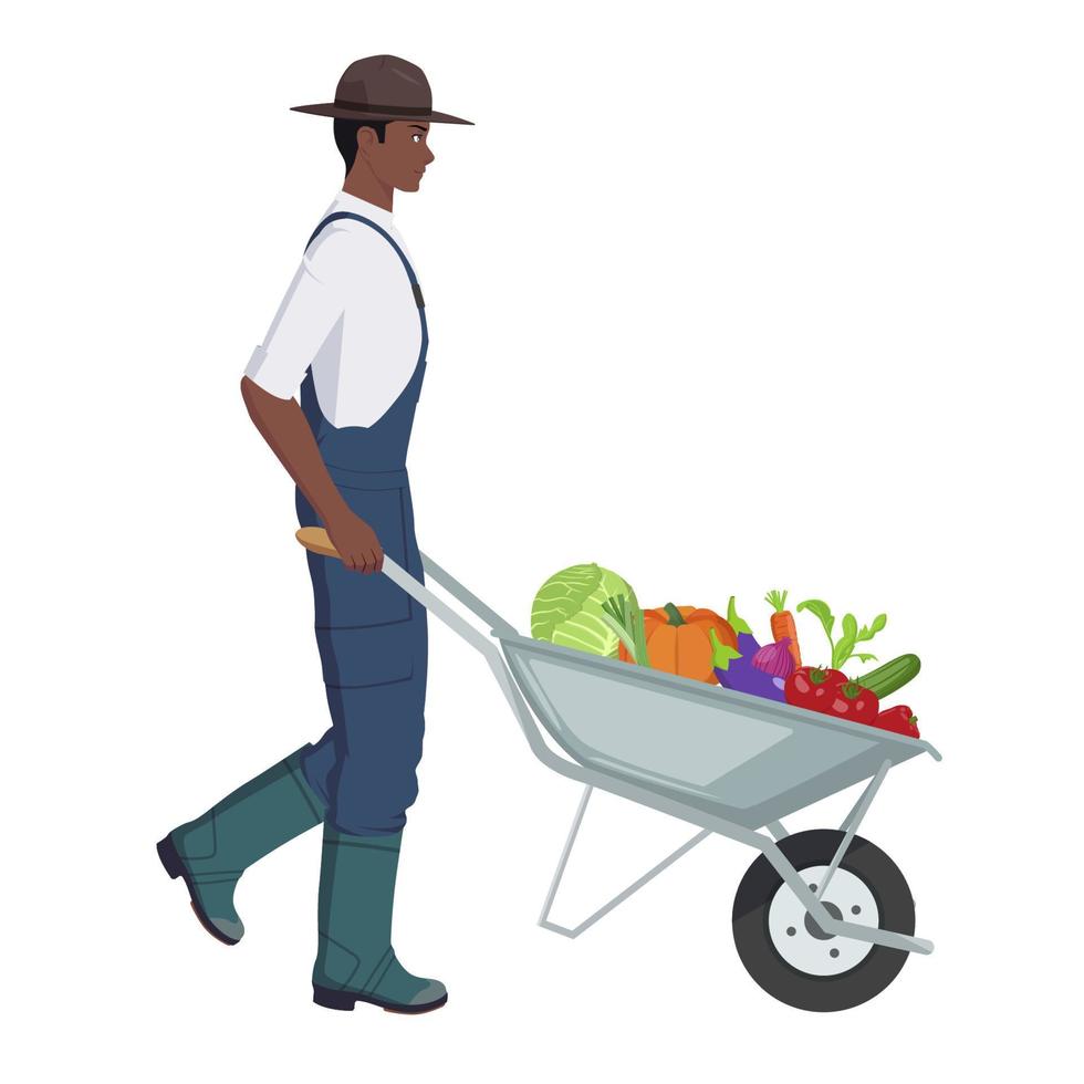 Black Farmer Pushing Wheelbarrow full of Organic Vegetables vector