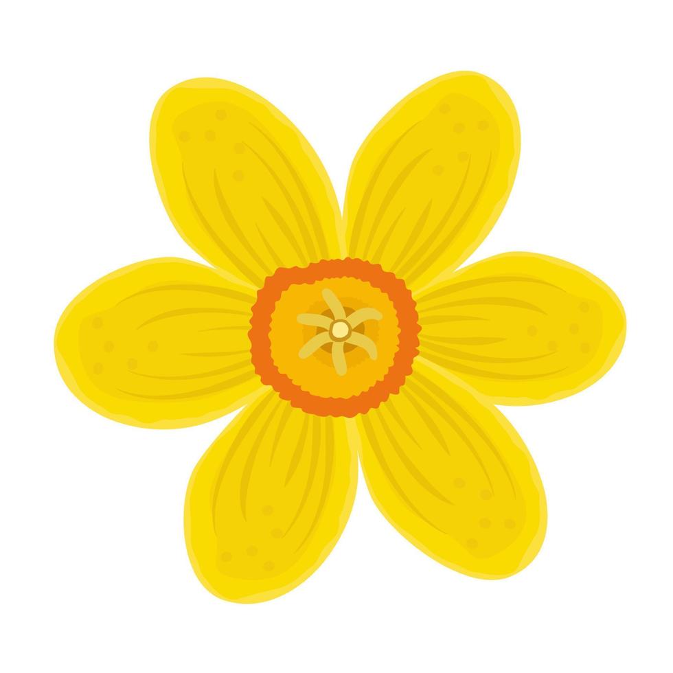 Single bright yellow daffodil vector