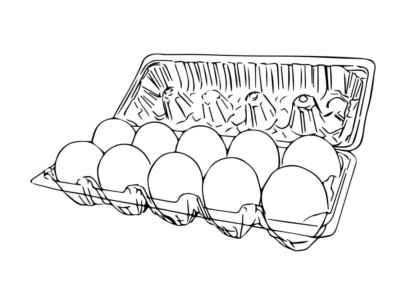 caja de huevos del supermercado dibujo manual vectorial aislado vector