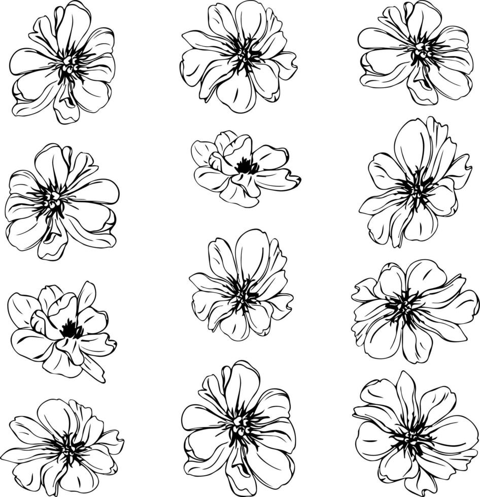 set of flower buds vector isolated silhouette outlines