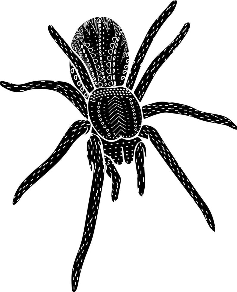 spider folk with ornament mystical insect for halloween isolated vector hand drawn