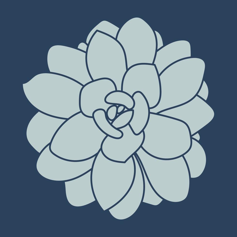 silueta de suculenta. boceto de flor del desierto. planta de dibujo de contorno. estilo de garabato suculento. patrón. vector