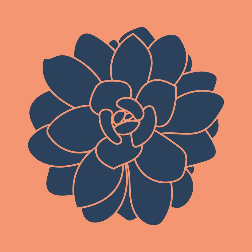 patrón suculento lindo dibujado a mano. bosquejo gráfico casa flor. logotipo e icono para impresión y diseño, fondo. vector