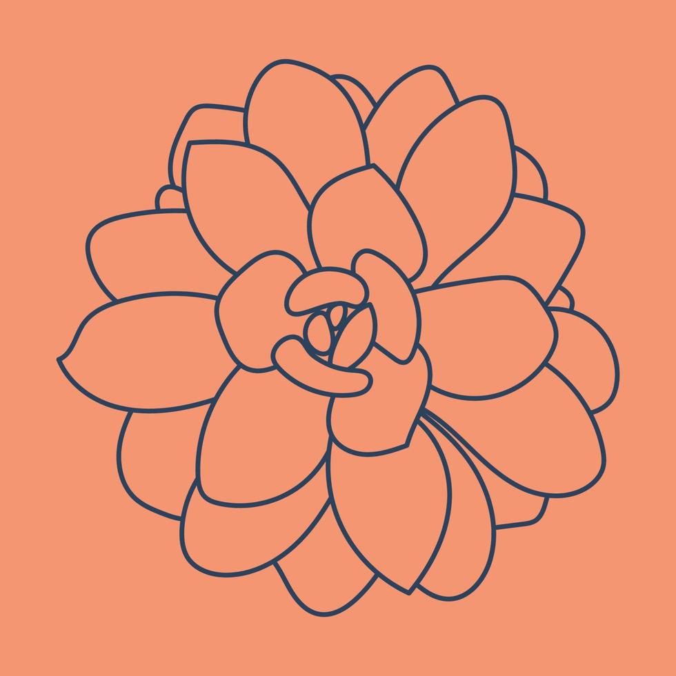 Succulent doodle pattern. Desert flower sketch. Succulent line art background. Outline drawing plant. vector