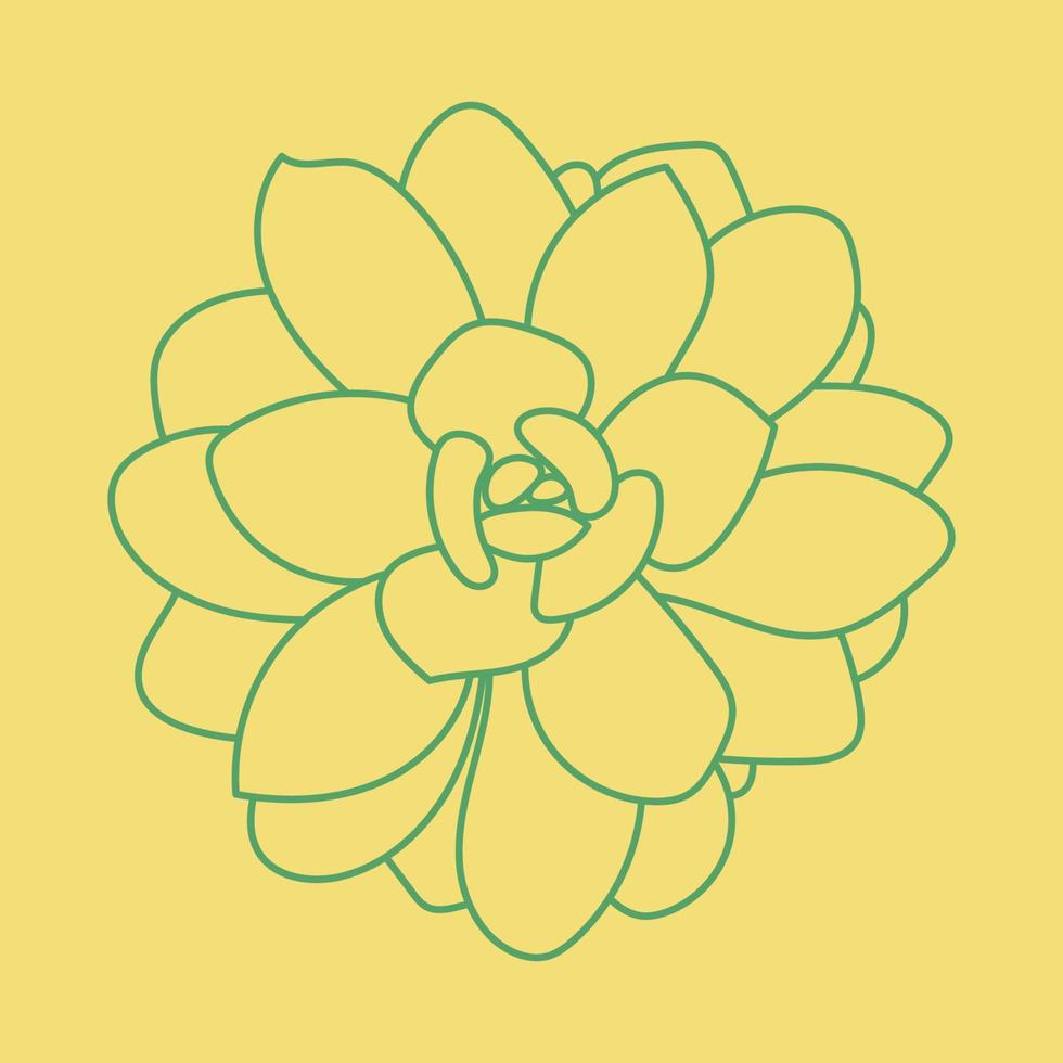 Doodle Succulent green Flower. Desert flower for print and design. Pattern. Modern background. vector