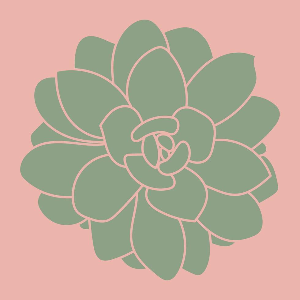 Hand drawn succulent plant. Pattern. Doodle sketch vector illustration.