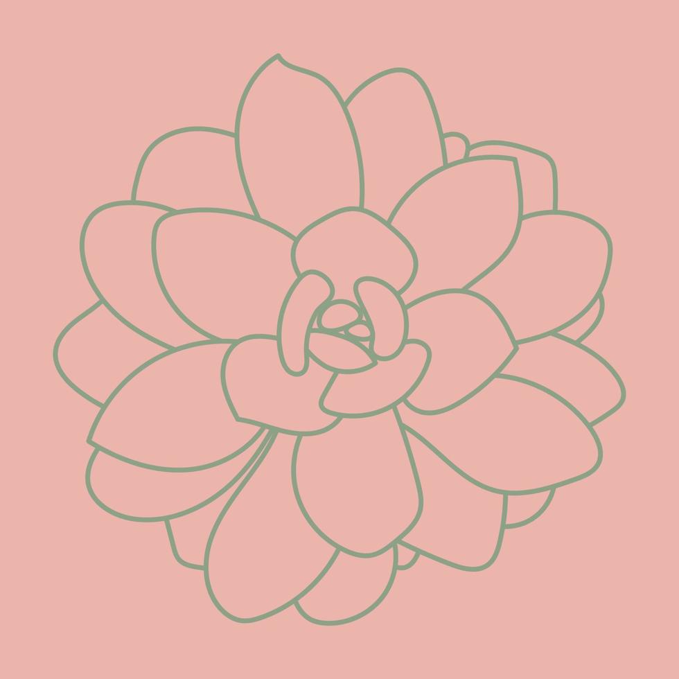 ilustración vectorial de suculentas aisladas en un fondo rosa. bosquejo del garabato. patrón. vector