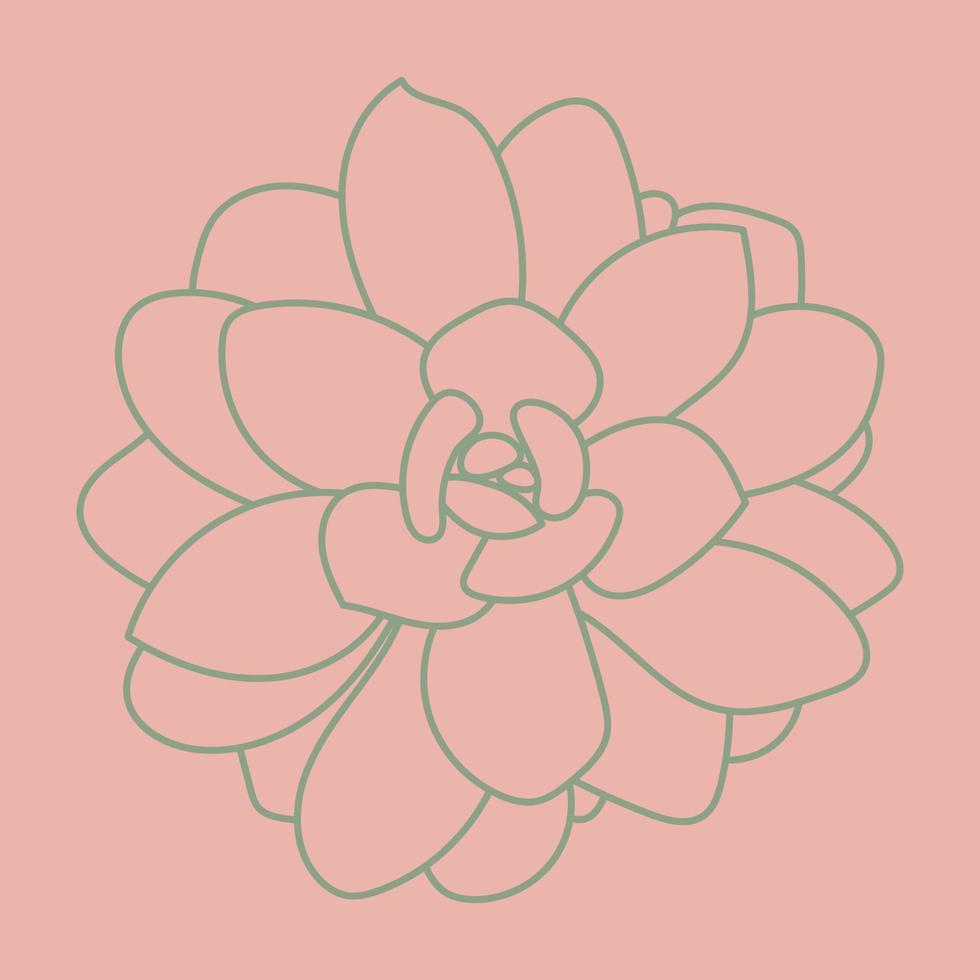 Vector illustration of succulent isolated on a pink background. Doodle sketch. Pattern.