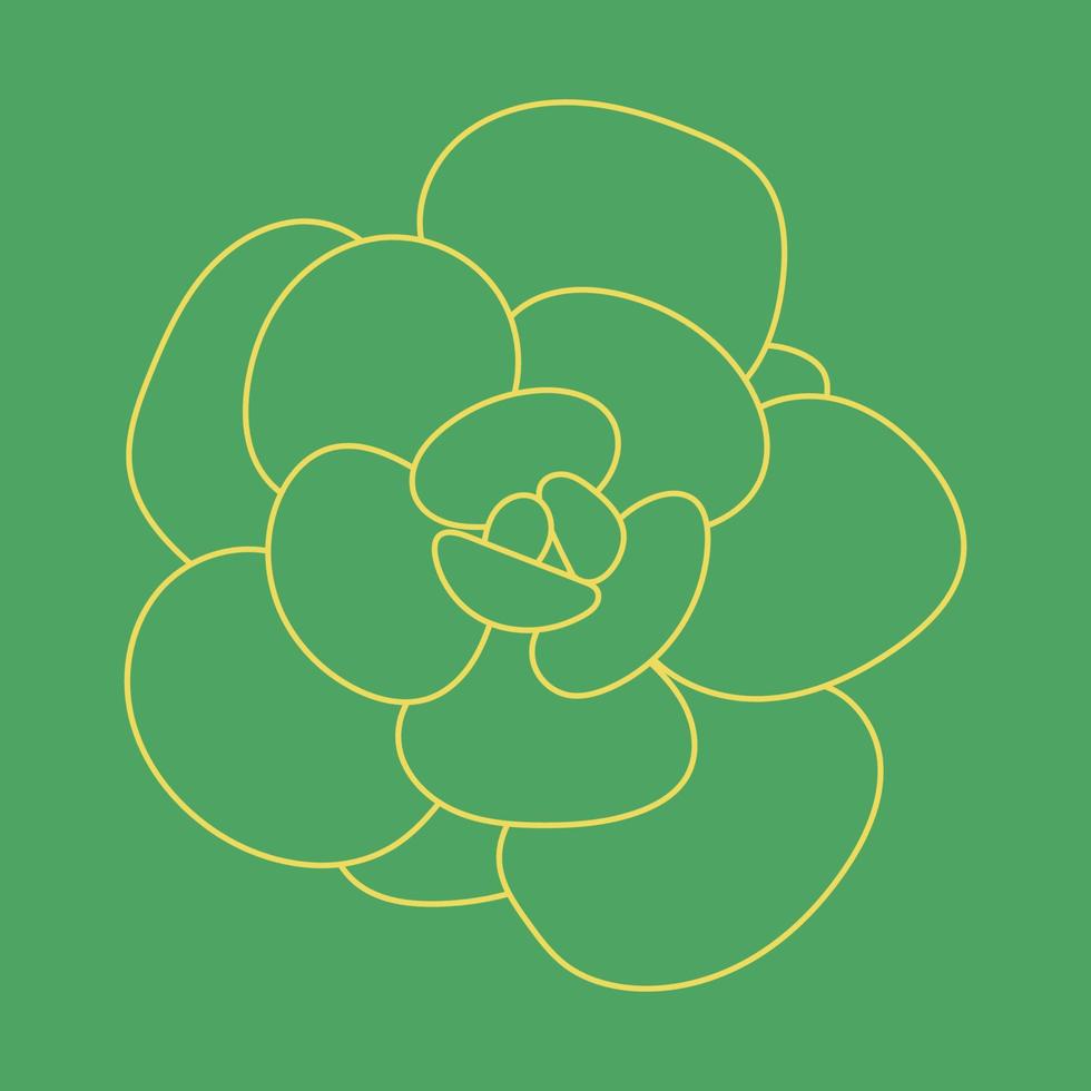 Desert flower for prints and designs, backgrounds. Cute pattern. Doodle Succulent Flower. vector