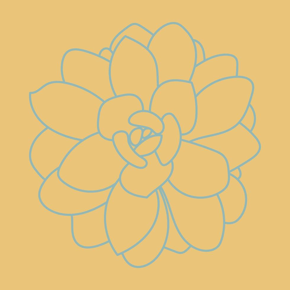 Desert flower for prints and designs. Cute pattern. Doodle Succulent Flower. vector