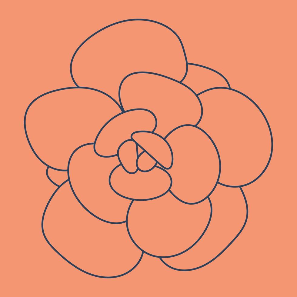 Doodle Succulent flower. Modern background. Desert flower for print and design, patterns, wallpapers. vector