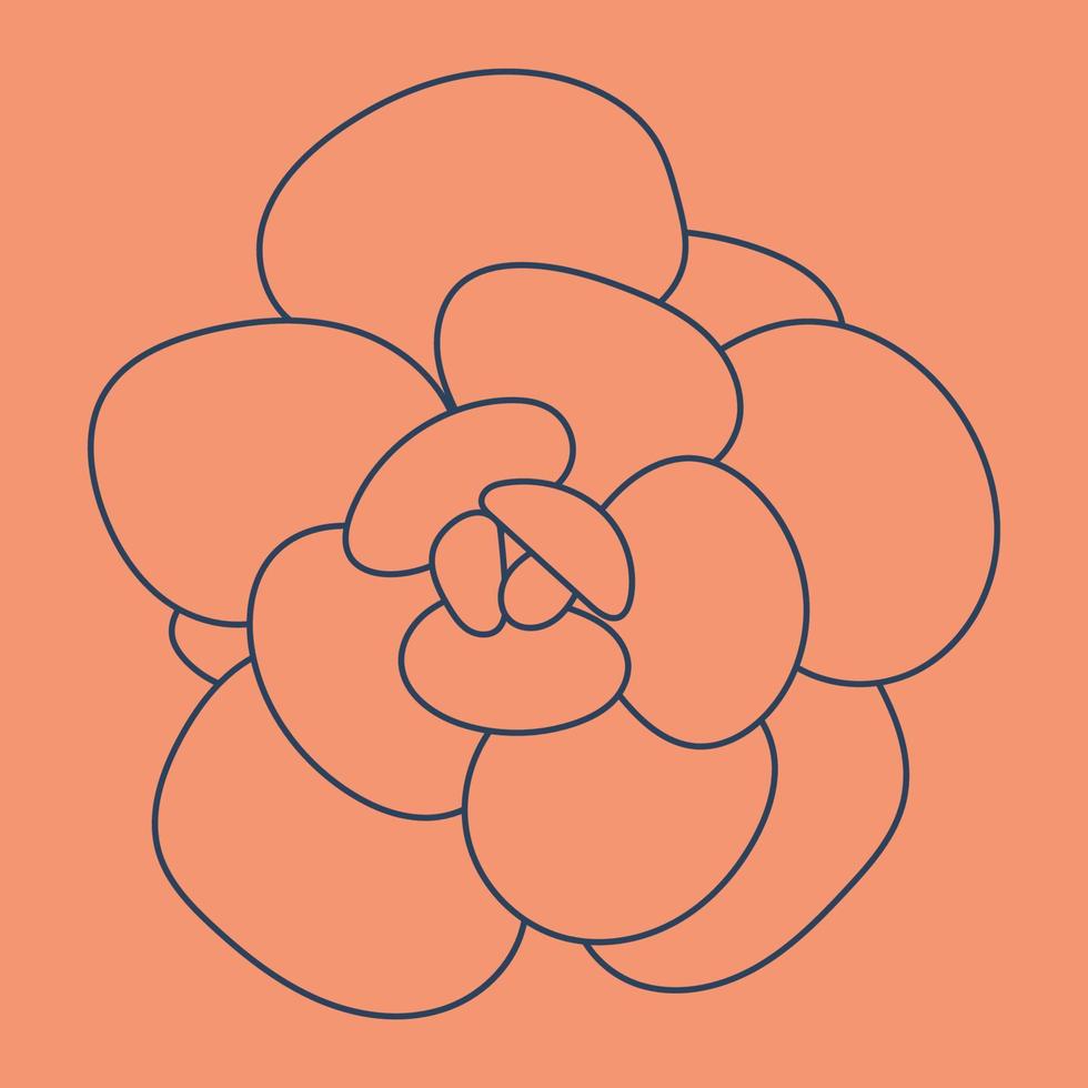 flor suculenta del garabato. fondo moderno. flor del desierto para impresión y diseño, patrones, fondos de pantalla. vector