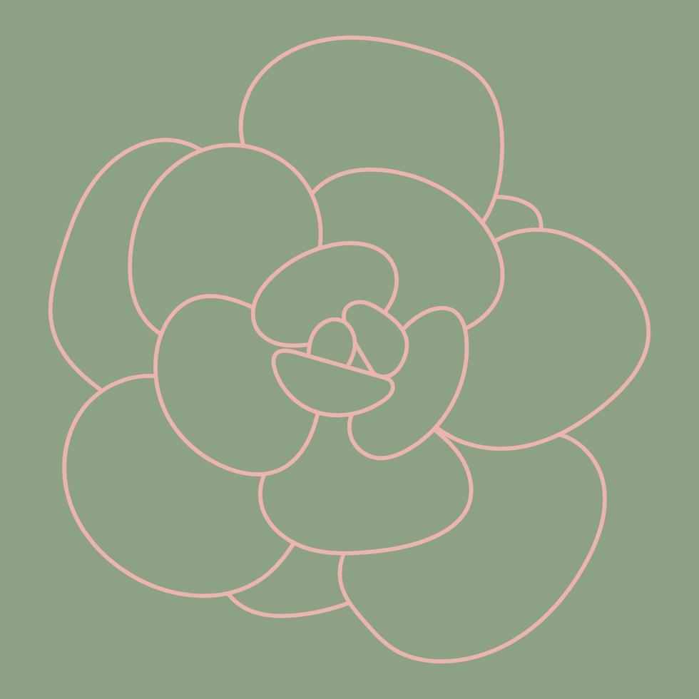 Doodle Succulent red Flower. Desert flower for print and design. Pattern. vector