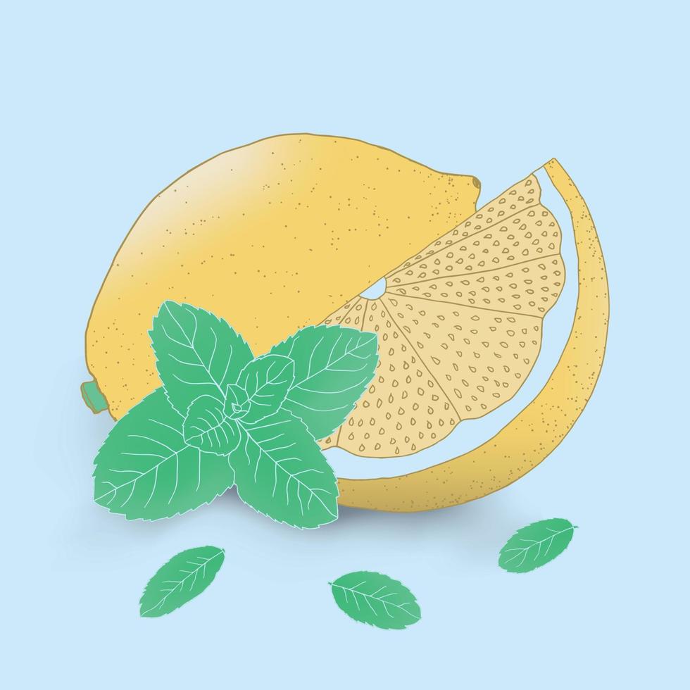 Lemon and mint leaves illustration vector