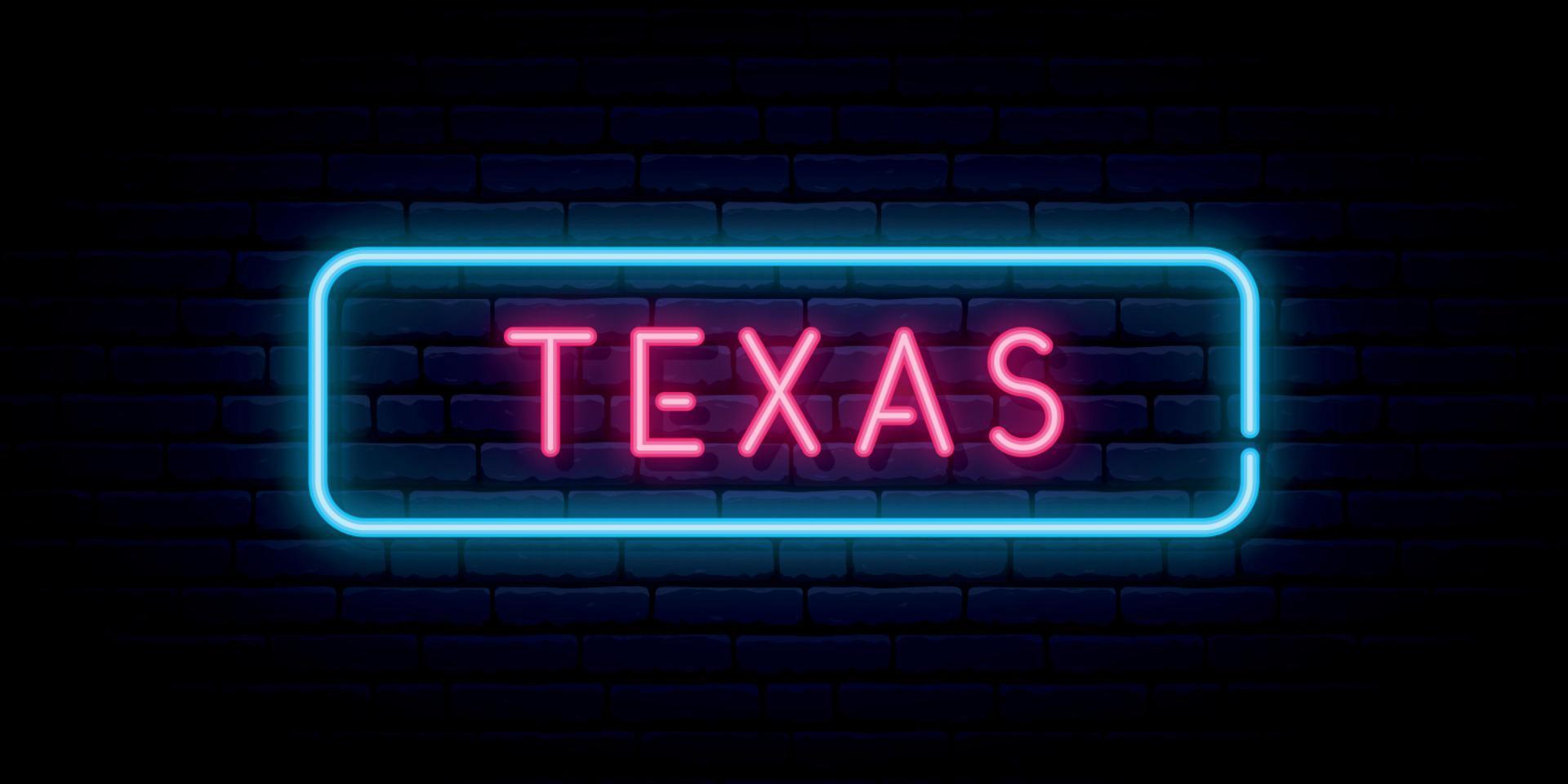 Texas neon sign. vector