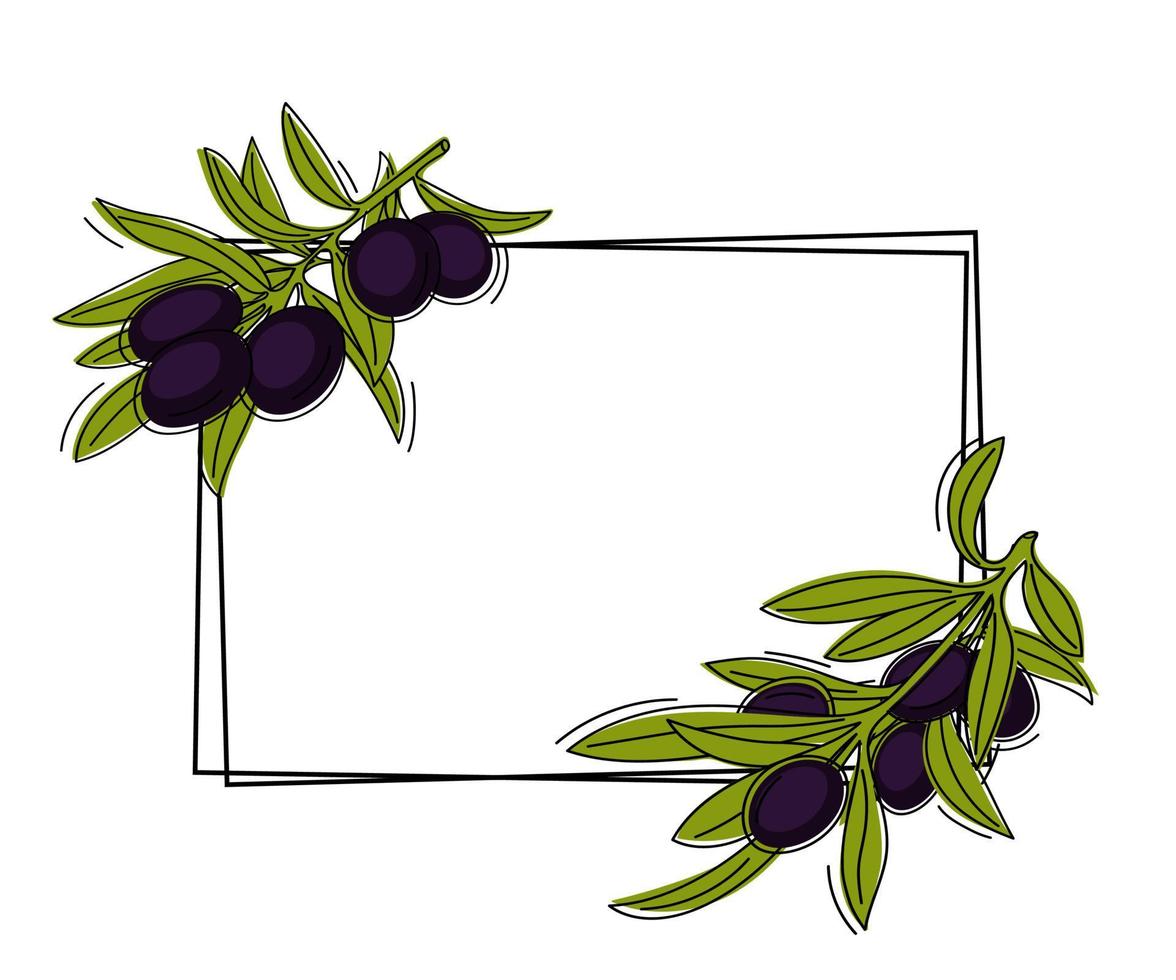 Rectangular frame with olive branches for design on a white background. vector