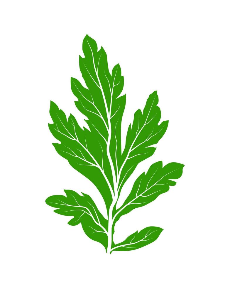 silhouette green leaf vector. leaf icon. illustration of green leaf. vector