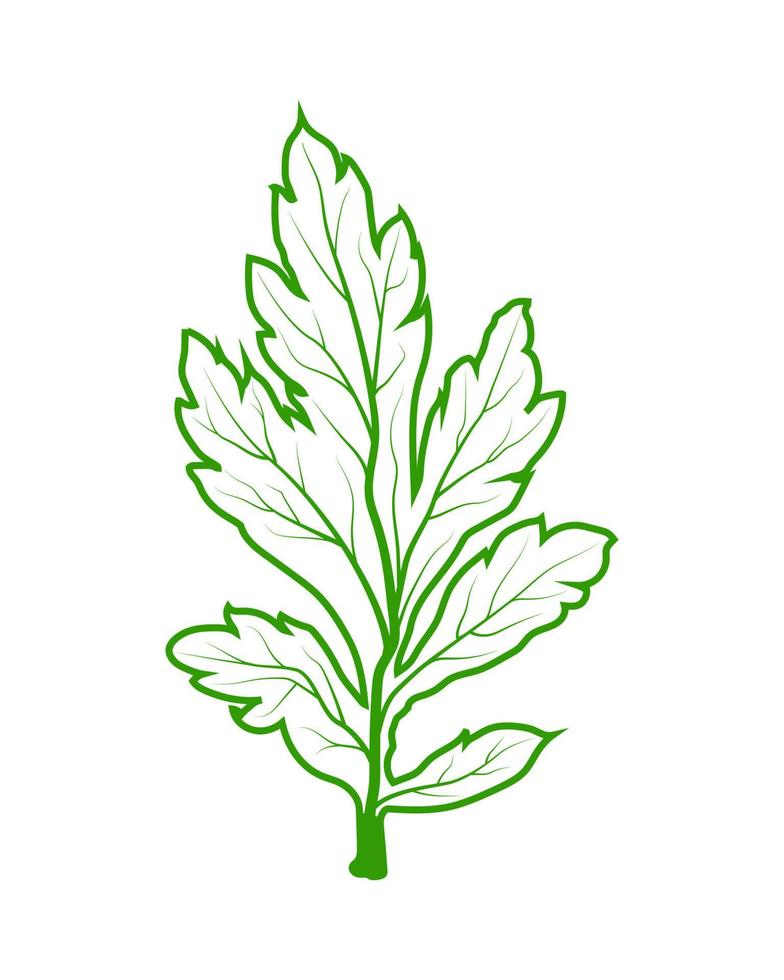 leaf veins texture. green leaf veins vector illustration. silhouettes, texture leaf.