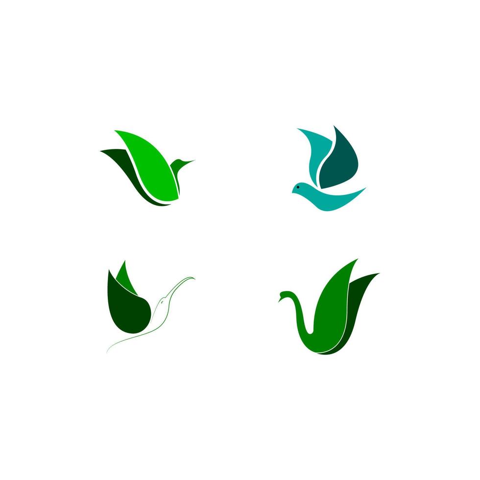 bird logo illustration vector