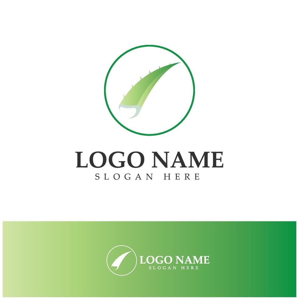 aloe vera logo icon illustration vector