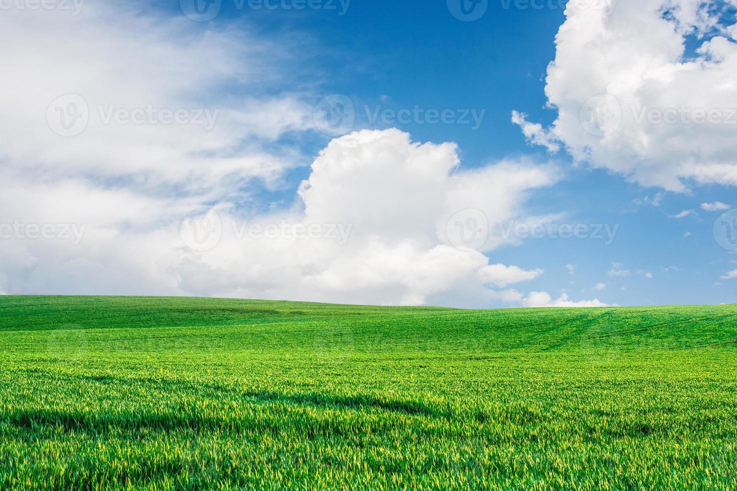 A large meadow in the background is the sky. nature background image concept photo