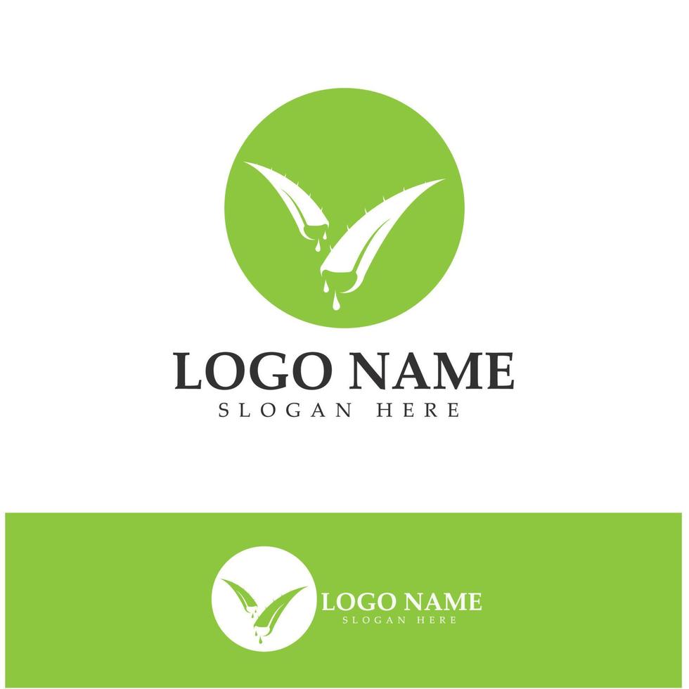 aloe vera logo icon illustration vector