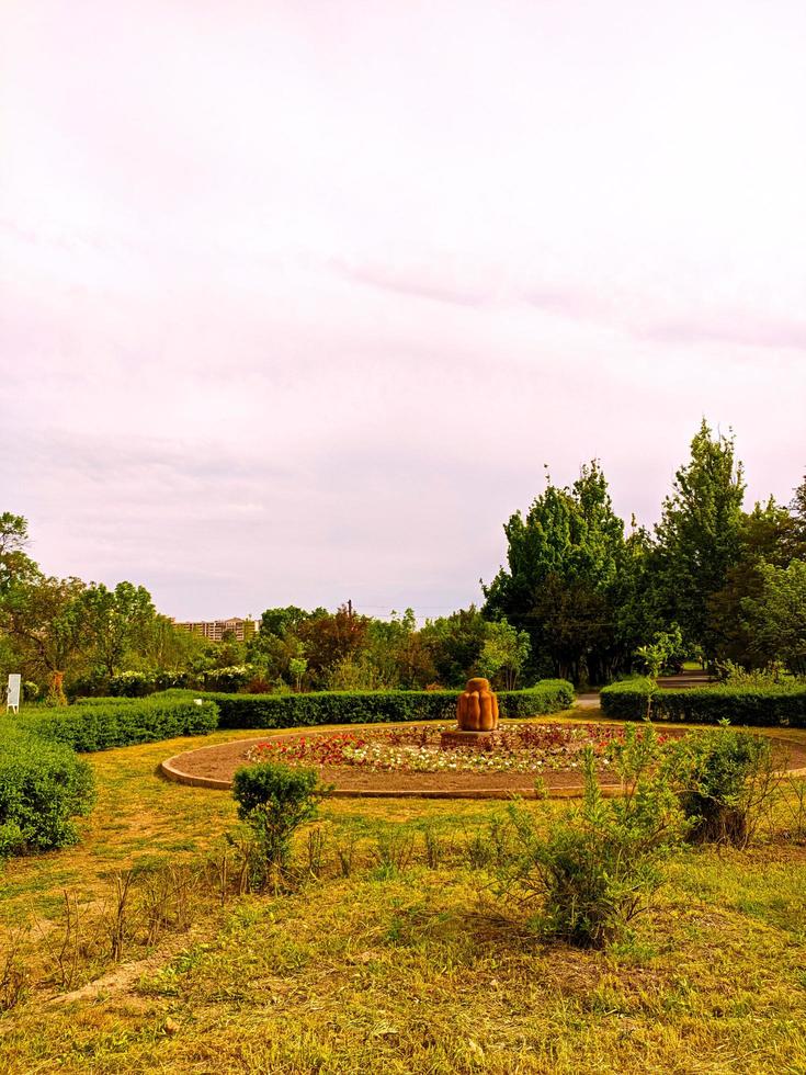 Botanical garden in springtime, beauty in nature. photo