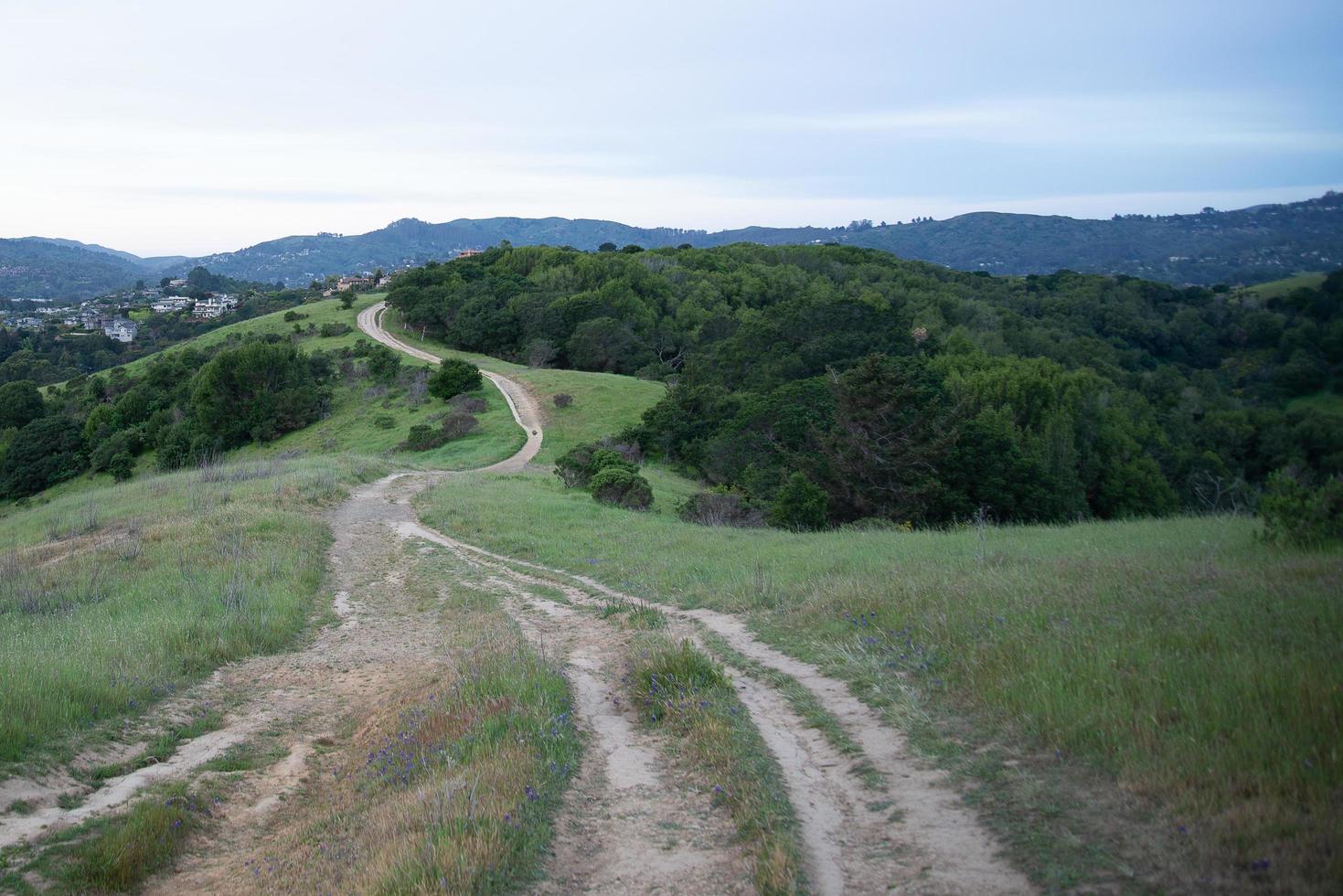 Dirt Path Road Ahead Calm Trail photo