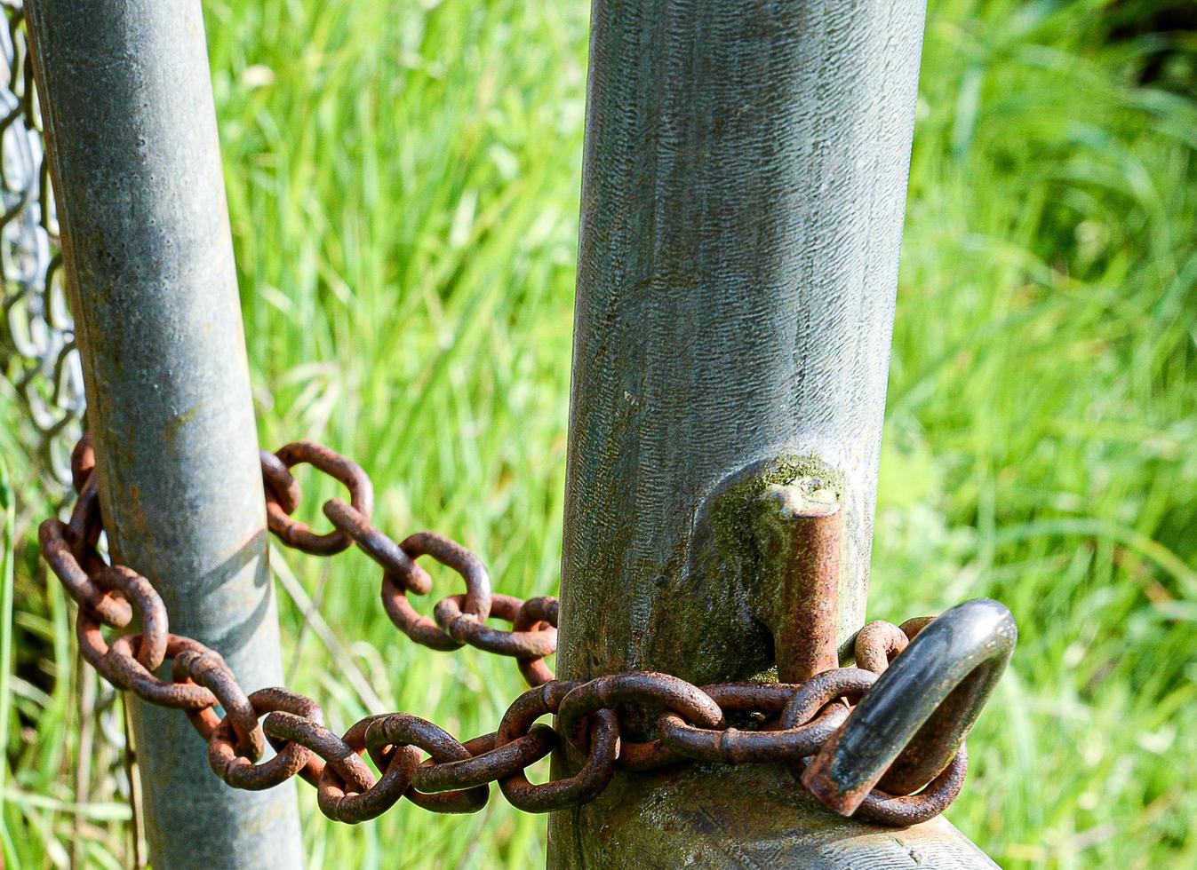 Rusted broken lock on old fence photo