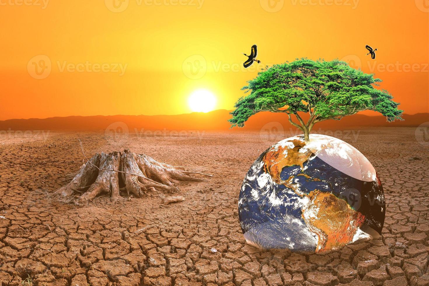 The concept of global warming and drought and poverty and food shortages. Arid soils with hot climates have a globe that lacks green space. photo