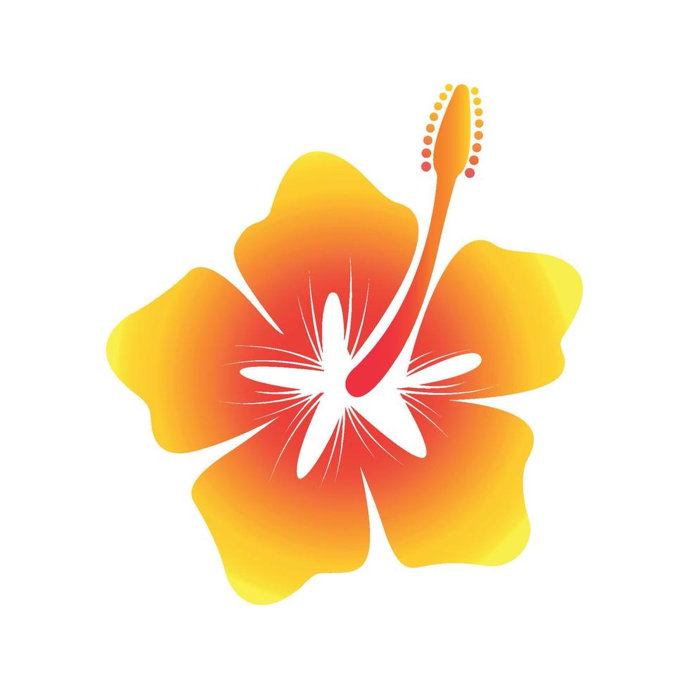 Hawaiian Yellow hibiscus Flower Illustration. vector