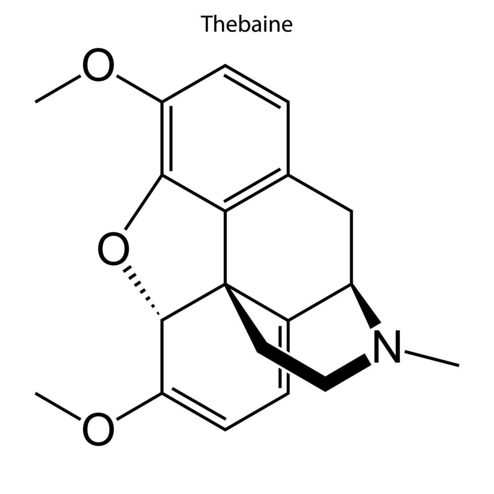 Skeletal formula of chemical molecule. vector
