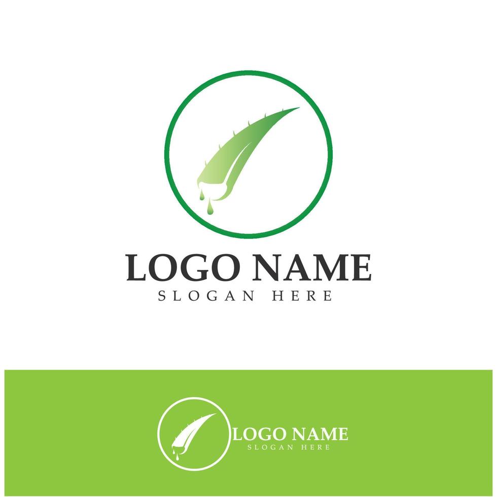 aloe vera logo icon illustration vector