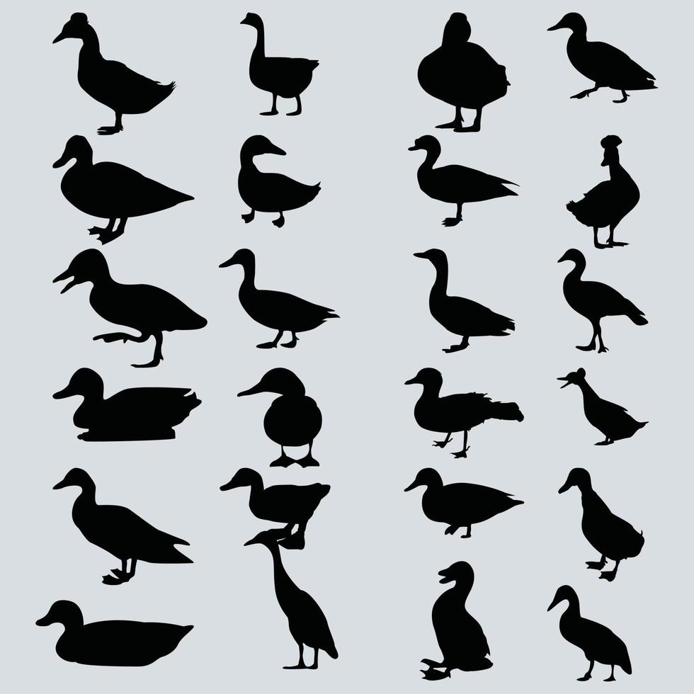 conjunto de vectores de silueta de vida silvestre de pato